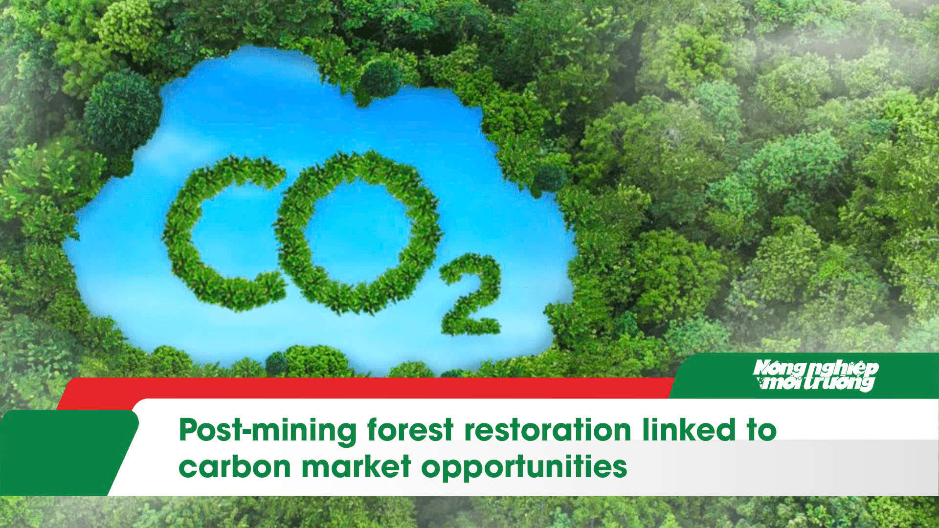Post-mining forest restoration linked to carbon market opportunities